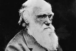 Charles Darwin, el genio emprendedor que quería ser pastor